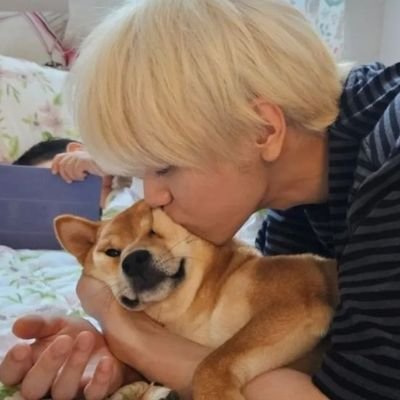 elooxzd's profile picture. kpopper, bangya e fã de animes