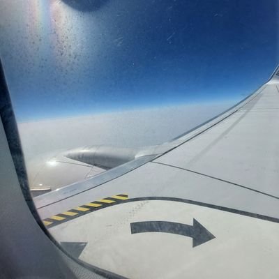 gunJigg's profile picture. uh