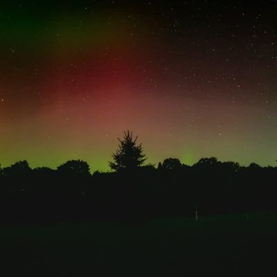 ShellyCStinson's profile picture. 