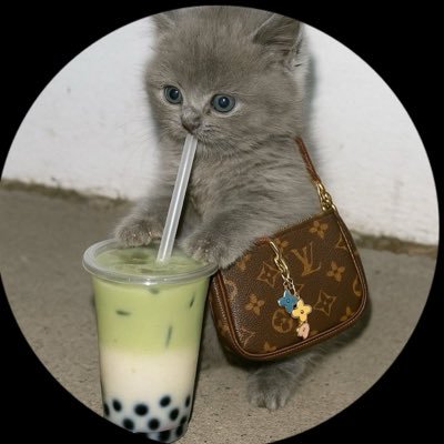 srbntbdlzyz1's profile picture. 