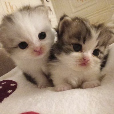 kwjn99's profile picture. 