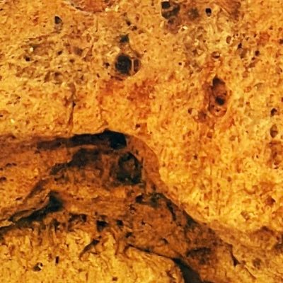 yoboyobo_mov's profile picture. 