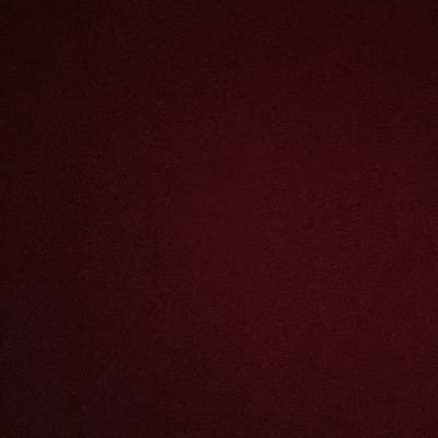 furlanlarissaa's profile picture. 