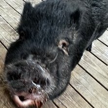 Johns3171M's profile picture. 