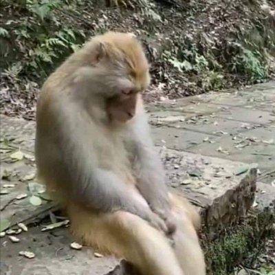 VerifiedBakchod's profile picture. I come here to waste my time.