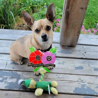 prefect's profile picture. Major in the de Zombiesquad #zshq a rider in de #ruffriderz ! Yay! I don't have an indoor voice. @higginsboy.bsky.social