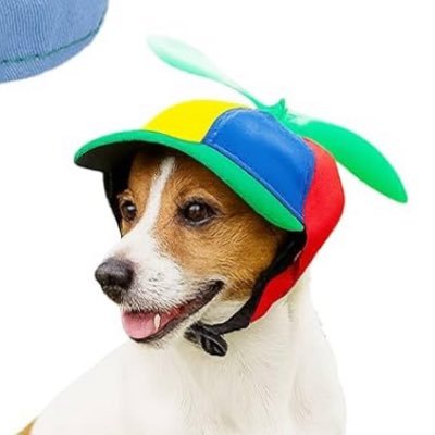 hessburgers's profile picture. 