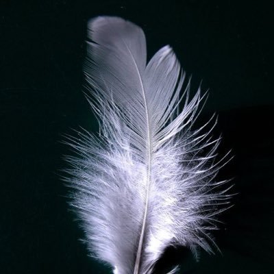 Alp_Dag's profile picture. 