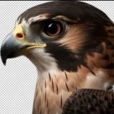 1moh20's profile picture. ❤️  ❤️