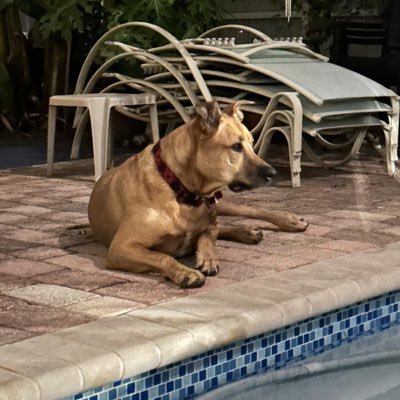 TANOVIEJO1's profile picture. Harto de versos filosòficos, solo evalúo resultados.Las quejas de los improductivos es bella música para mis oídos.