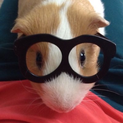 i1ovezzo's profile picture. 