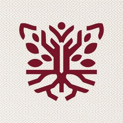 sefodecogro's profile picture. 