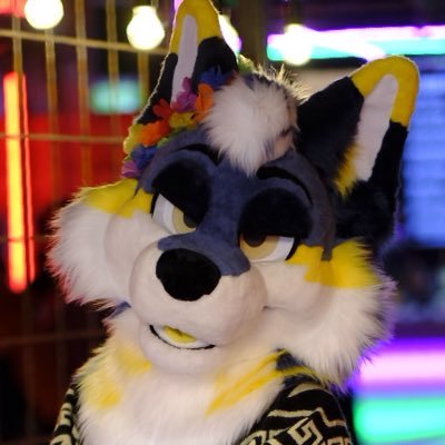 Secret_Wolfe's profile picture. | 25 | Zap dog | Gay-ISH | Hyper-fixates on things, probably Star Wars. | @Mancfurs Volunteer & CFz Staff | 📸@R330C0