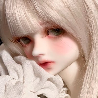 gadi_sjex's profile picture. 성인/미니+75