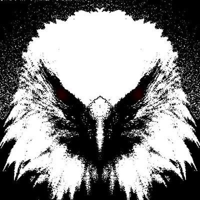 0xBintix's profile picture. #4RIOT