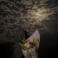 ✨ (𝐋𝐎𝐋𝐈𝐀) ✨ (@lolealolecud) 's Twitter Profile