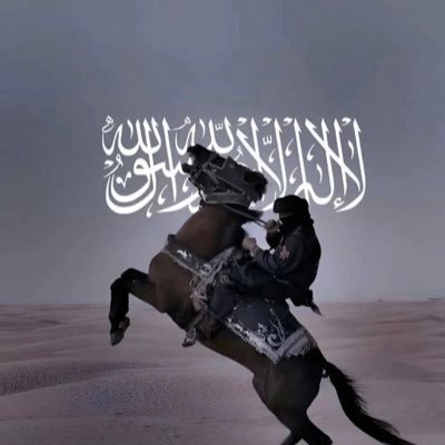 mohadzsur's profile picture. 92i 🏴‍☠️