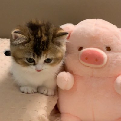 Fiona0918b's profile picture. Loving yourself is the first step; only by understanding yourself can you truly embrace life.