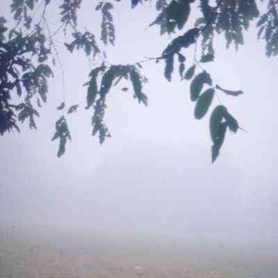 AlukhaB54295's profile picture. 