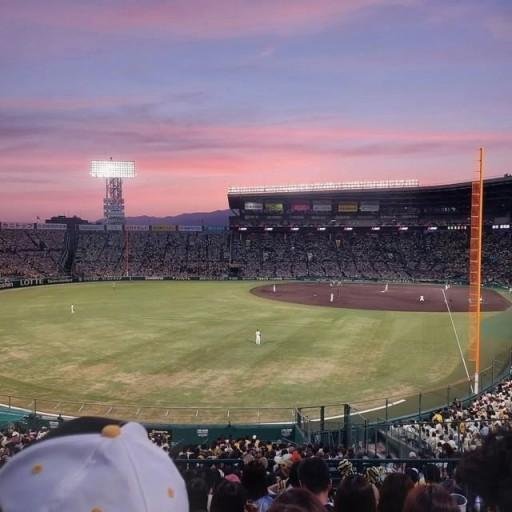 D067xv13231's profile picture. 🌹 🌂