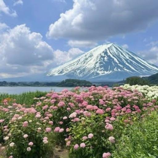 colton13946's profile picture. 初心者でも勝てる相場を作りたい。🎯🐣📈🌱🤝🌼🌈