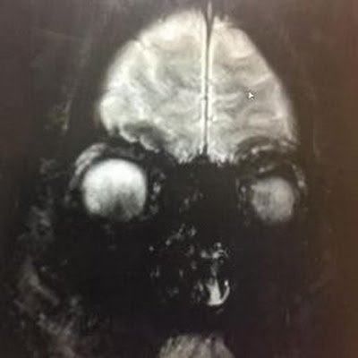 humptyvissionjr's profile picture. 