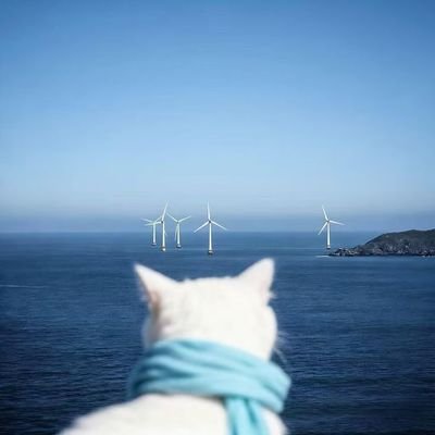 tokyorigano's profile picture. 