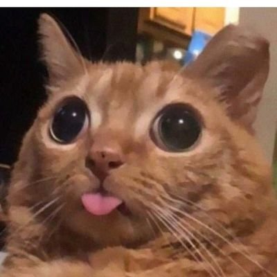 jose_renato63's profile picture. 