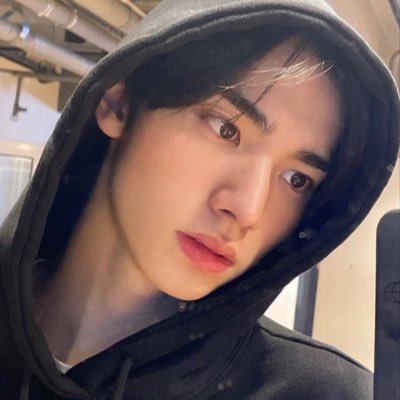 nmnngg's profile picture. orange cat personality #shitposter