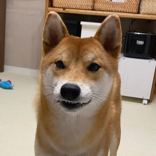 j1nvth22940's profile picture. 勝ち続ける人は、いつも静か。🤫👑📊🌙🍂🎯🌌