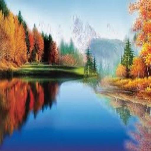 yvykr2q44566's profile picture. 毎日が学び。毎回がチャンス。📖🌅🎯🔄🌼🌟📚