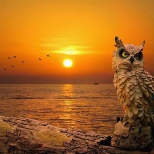 axlhkgcr38779's profile picture. 上がる株には理由がある。下がる株にも。📈🔍📉🤔💡🌺🎭