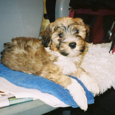 Krisp06's profile picture. Development producer for music-theatre and tv projects
Creative, literate, numerate. V. good with other people’s money.