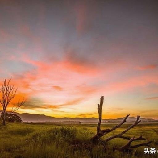 oxxiol93272's profile picture. 初心者でも勝てる相場を作りたい。🎯🐣📈🌱🤝🌼🌈