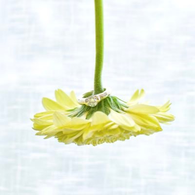 8appyo_o's profile picture. 세븐틴의 멋진는 귀여미🐸➰💚 𝘛𝘋𝘙🏰 사진📷 퍼포🎧