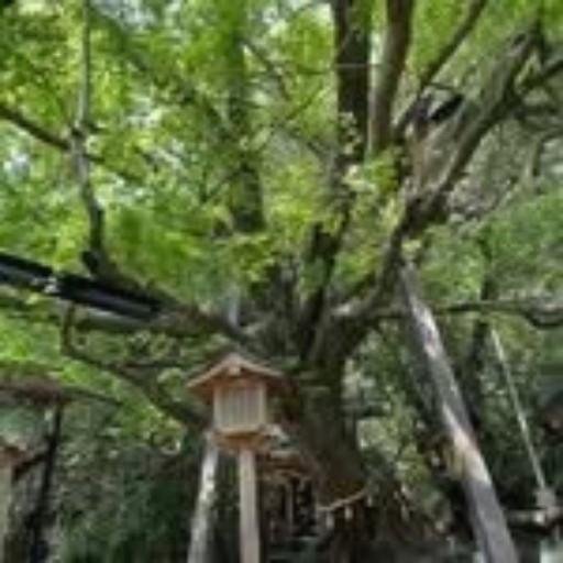 mfks0r27622's profile picture. もう止まらない。資金が流れ込んでる。💸🌊📈🔥🚀🌷💹