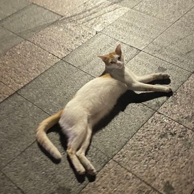 Gplantss's profile picture. 