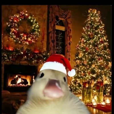 s3th_001's profile picture. Web3 & Sports Betting tips🤝 • @S3th_002