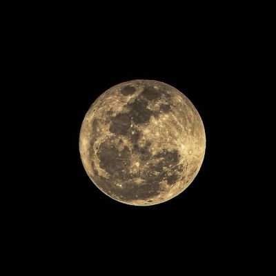 AffanLamiya's profile picture. m psychologist
i belong to myself
Love Boom unconditionally
coz conditions create problems in love
Proud cat mom
I ve 5 cats Jk, Lotto, Dollar, Goldy, Rush