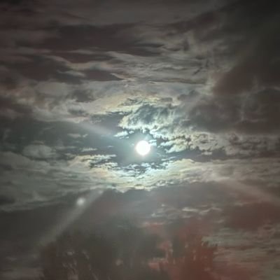 lauraldoves's profile picture. I Timothy 4:12-16 🇺🇸 Don't Ever Give Up On Your Dreams, PSU, NASCAR