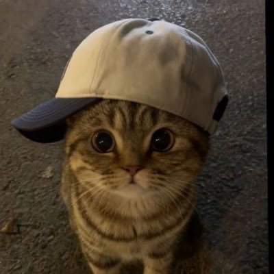 Neightthegr8's profile picture. a down ass bitch