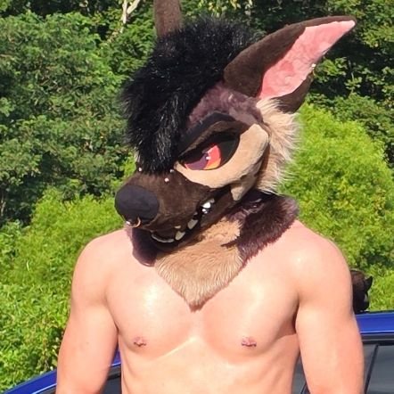 Cougs_bigkitty's profile picture. 6'4 Big kitty, sometimes a dog | Str8ish/sub leaning switch | (not looking)