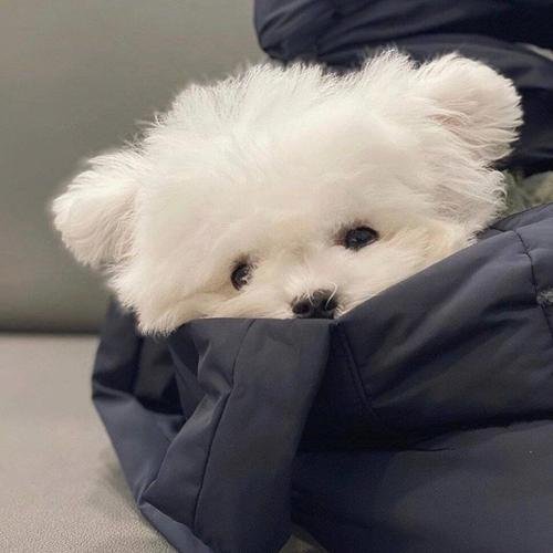 vrdmx72271754's profile picture. Foraged for berries on a woodland walk, tart jewels staining fingers pink—wild edibles connect me back to the earth's pantry.