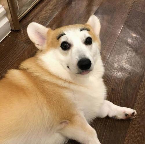 ewnms37837997's profile picture. 