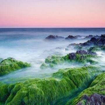 ikgso92285326's profile picture. 