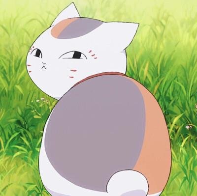 azhey65533716's profile picture. 