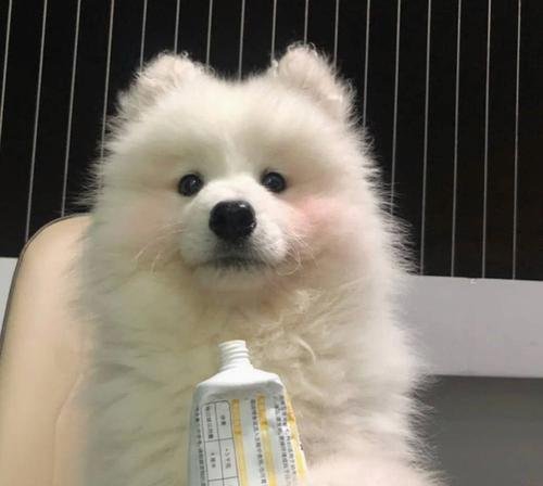 rivemateo's profile picture. 