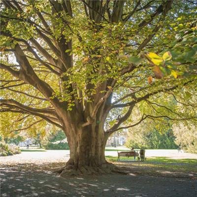 Vishveshpanjika's profile picture. Explored oasis oases, palms promising peace. Sands silenced, waters welcoming.