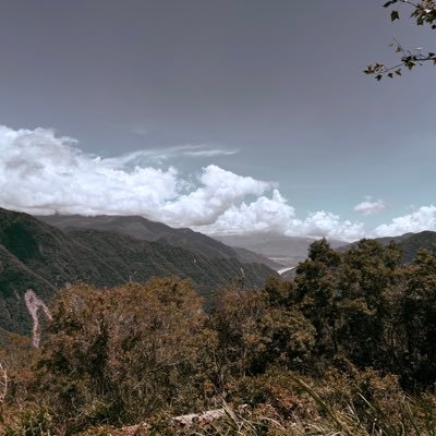 YuYu159677's profile picture. 