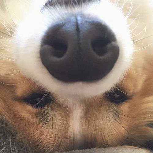 iloveya00's profile picture. 